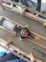 IMG_20200416_134436710.jpg