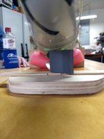 IMG_20200418_153557_01.jpg
