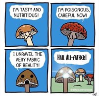 mushroom hunting.jpg