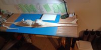 IMG_20200621_162132.jpg