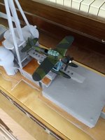 IMG_20200819_155635842.jpg