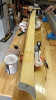 IMG_20201024_123425_01.jpg