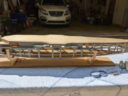 Scharney Support.jpg