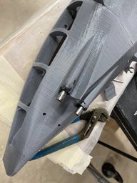 IMG_3428.jpeg