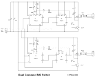 switch-dual-common.gif