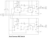 switch-dual-common.gif